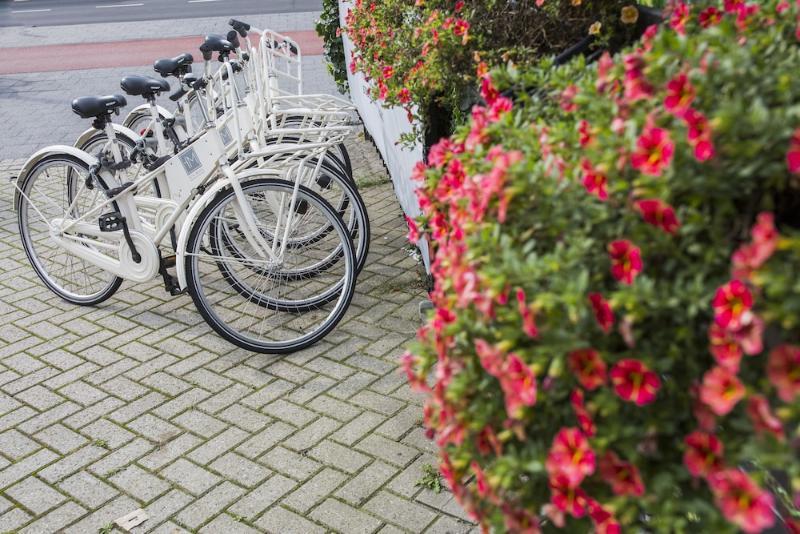 Stadsvilla Hotel Mozaic Den Haag Dış mekan fotoğraf